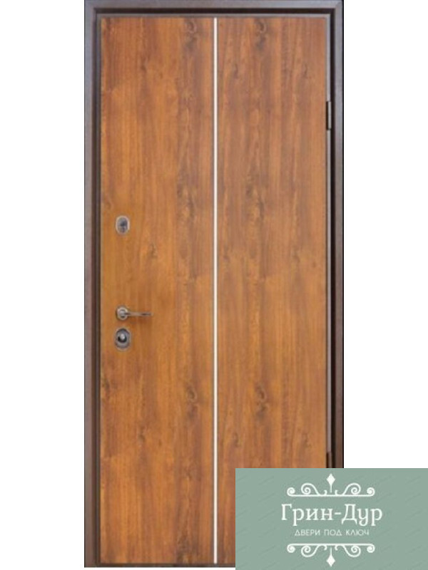 Стальная дверь с терморазрывом-96