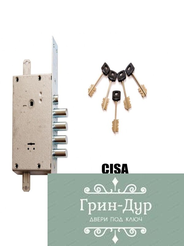 CISA 56785