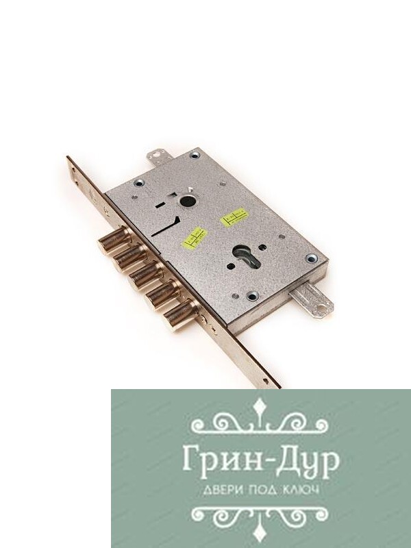 CISA (нижняя личинная)